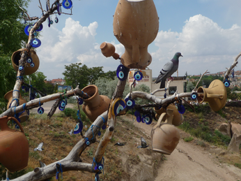 P1040605.JPG 3456x2592 index 361